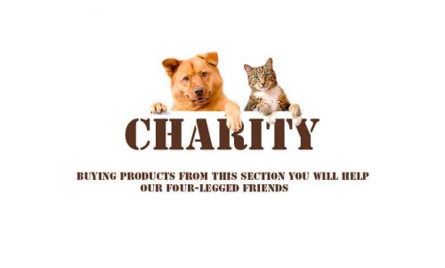 Charity project