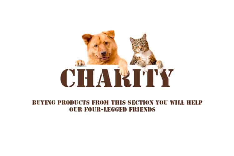 Charity project